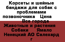 Корсеты и шейные бандажи для собак с проблемами позвоночника › Цена ­ 2 500 - Все города Животные и растения » Собаки   . Ямало-Ненецкий АО,Салехард г.